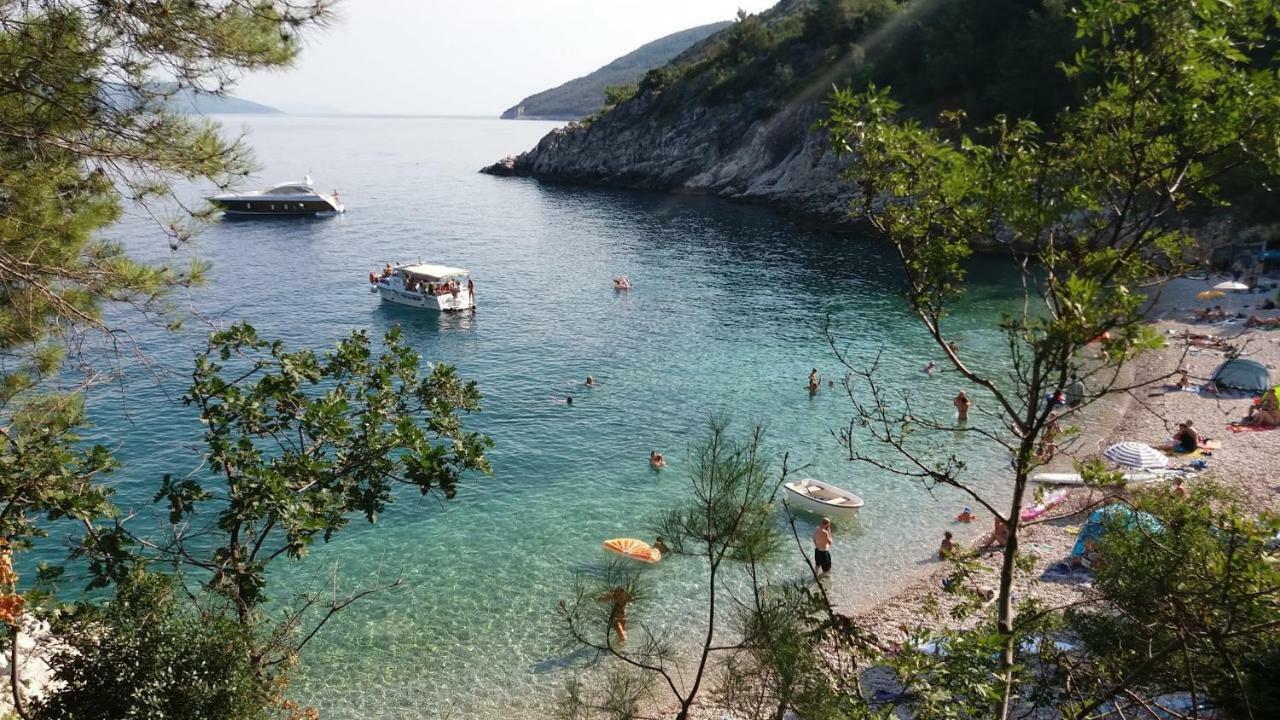 Vila Kuca Sonja Vranje Exteriér fotografie